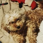 Billie Ross - @billier2nd - Instagram