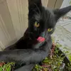 Filmzbybillie - @tunedbybillie - TikTok