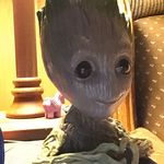 Billie Tuttle - @punk_celebration - Instagram