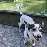 Billy Tuttle - @bat_jr_85 - Instagram
