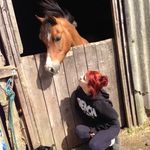 Billie- welsh c pony - @billie_welsh_c - Instagram