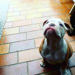 Billie Workman - @billie.workman - Instagram