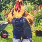 Billy Atkinson - @wilmich2205 - Instagram