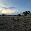 Billy_Baxter - @billy_baxter4 - TikTok