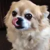 Billy_Baxter - @billy_baxter - TikTok