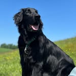 Louisa Fleet - @billy_baxter_trainee_ceo - Instagram