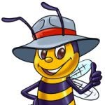Billy Beez Anaheim - @billybeez_anaheim - Instagram