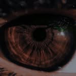 Bill Bill - @billy_bill_8 - Instagram