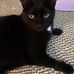 Billy Bill - Facebook