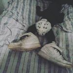 Billy billy - @billy_bills_billy - Instagram