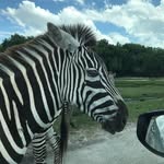 Bill Blount - @bblount10 - Instagram