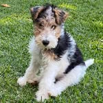 Billy - @billybodley - Instagram