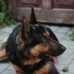 Billy Booker - @billybooker9076 - Instagram