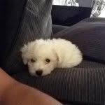 Billy Bradley - @billybradley1878 - Instagram