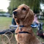Billy Brennan - @bestboybillybrennan - Instagram