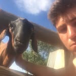 Billy Browning-Briese - @billyb_b - Instagram