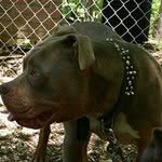 Billy Joe Broyles - @billybroyles - Instagram