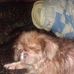 Billy Burch - Facebook