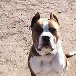 Billy Burch - @bburch006 - Instagram