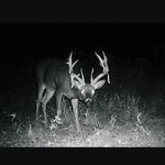 Bill Burdette - @burdette.bill - Instagram