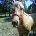 Billy Capps - Facebook