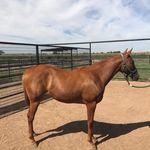 Bill Carnes - @billcarnes2353 - Instagram