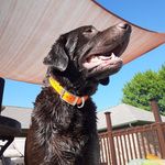 Billy Carnes - @carnes.b1177 - Instagram