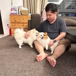 Billy Chai - @billychai2 - Instagram
