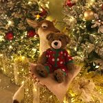 Billychai - @billychaibear - Instagram