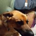 Bill Chandler - Facebook