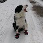 Bill Cherry - @bill.cherry - Instagram
