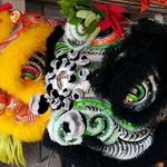 Billy Choy - @choy3135 - Instagram
