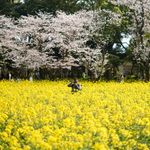 𝘽𝙞𝙡𝙡𝙮 𝘾𝙝𝙤𝙮 - @bc.photo852 - Instagram