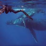 Billy Christopher Marotta - @bcmarotta - Instagram