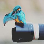 billy_mi - @billy.chuck - Instagram