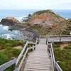 Billy Chui - @billychui - TikTok