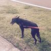 billie_claridge7 - @billie_claridge7 - TikTok