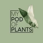 Billy Claridge - @mypodofplants - Instagram