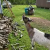 BILLY Clay - @billy.clay - TikTok