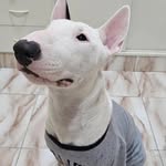Billy Clayton P. B. Backerig - @billytheclayton - Instagram