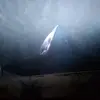 billyclemons7 - @billyclemons7 - TikTok