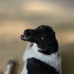 Billy Cloud - @sr45470 - Instagram