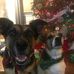 Billy Coakley - Facebook