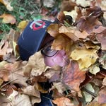 Billy Coakley - @bcoakley19 - Instagram