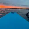 billycoates1 - @billycoates1 - TikTok