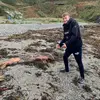 Billycoates - @_billycoates_ - TikTok