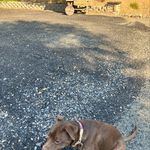 Billy Cochran - @billy.cochran.71 - Instagram