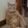 BILLY Cochran - @billy1089 - TikTok