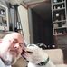 Billy Coe - Facebook