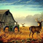 Billy Coffman - @billy.coffman.39 - Instagram